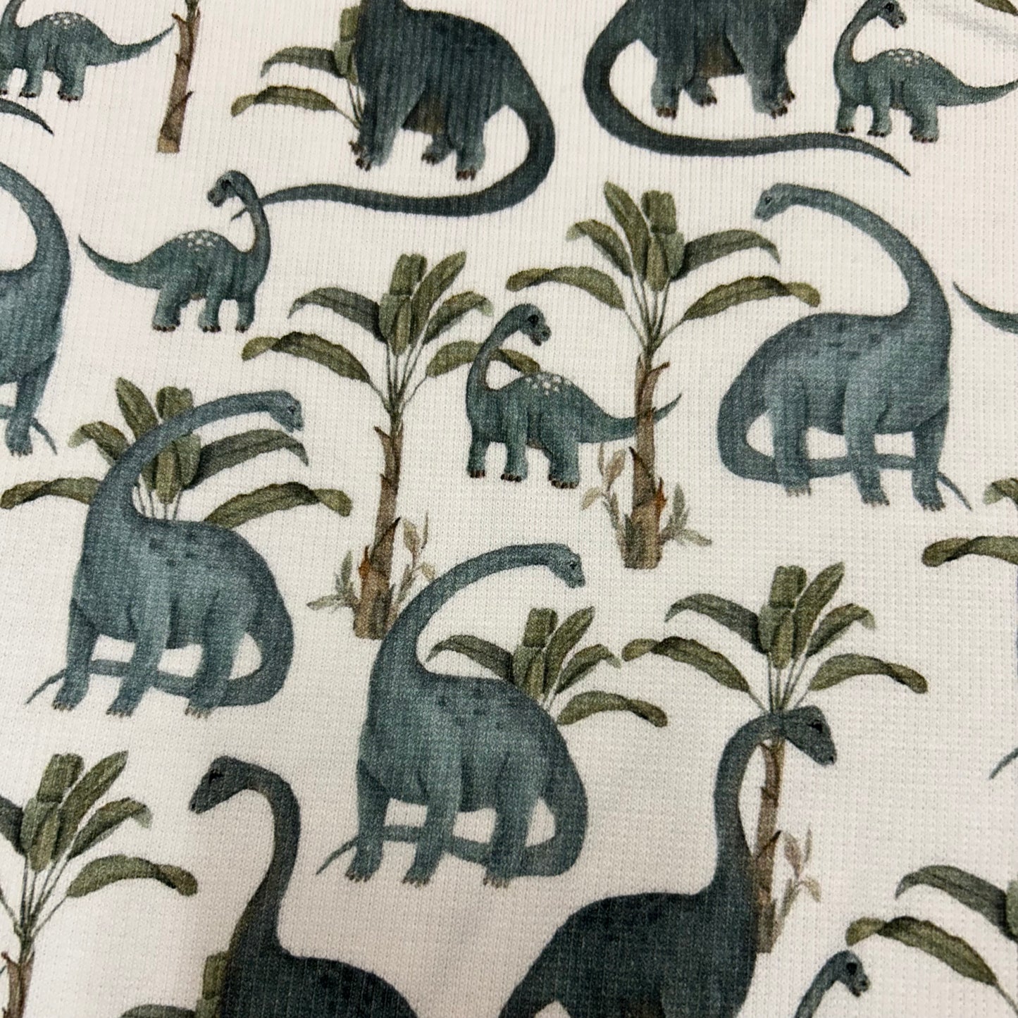 Små blå dinoer - Rib Jersey