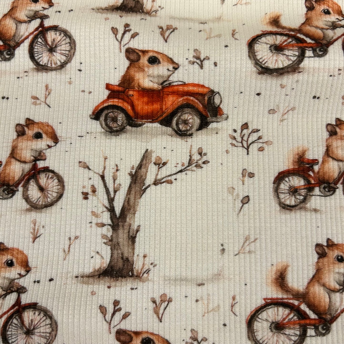 Små søde egern i bil og på cykel - Rib Jersey