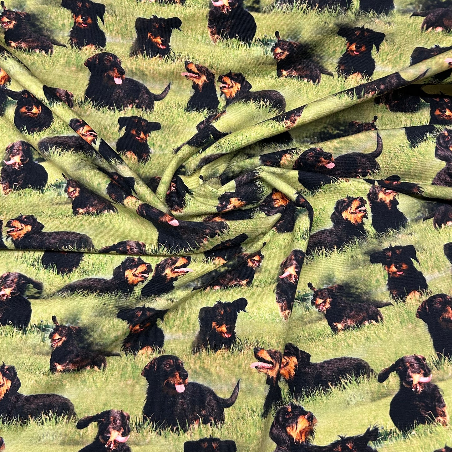 Ruhåret gravhunde - Bomuldsjersey