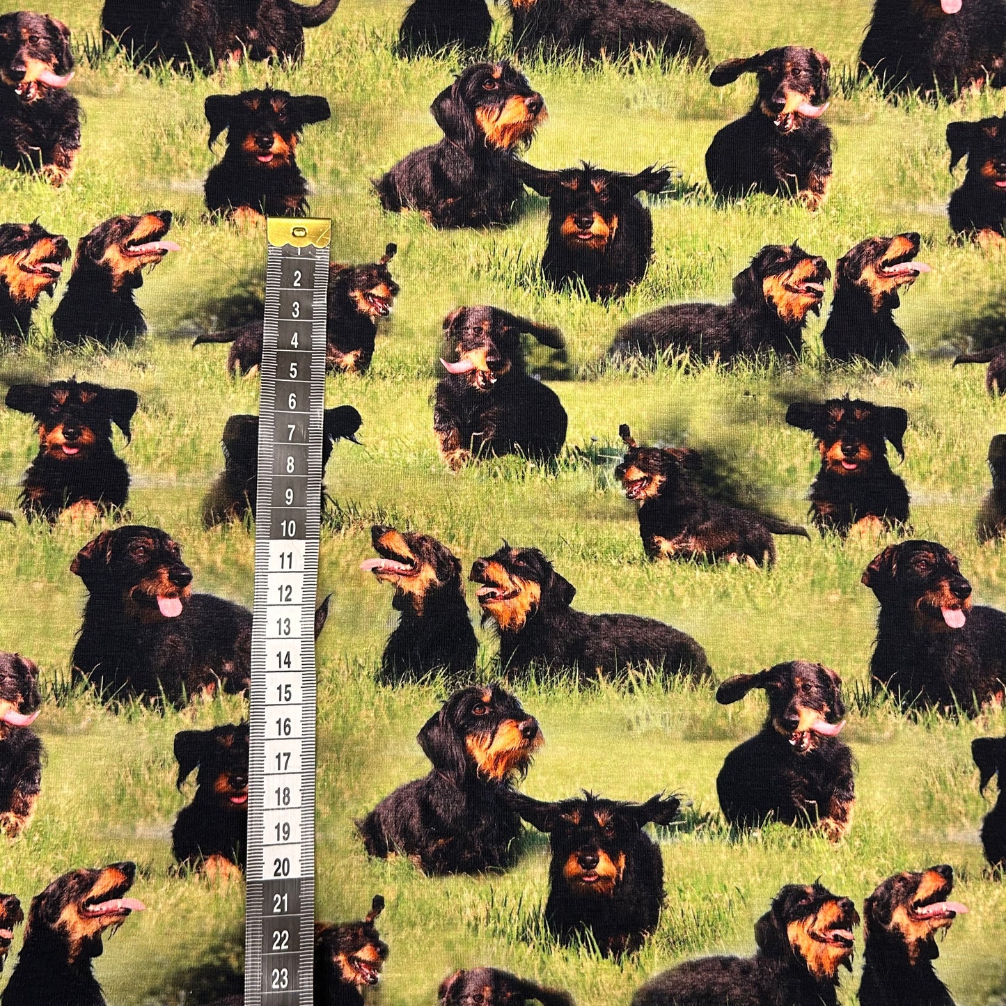 Ruhåret gravhunde - Bomuldsjersey